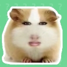 猪妞语音盒免费官方版