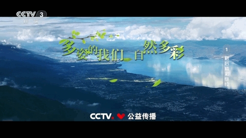 еtv°ذװv2.2.6