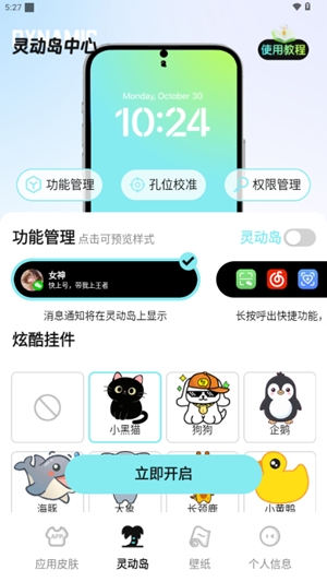 灵动皮肤小组件最新版