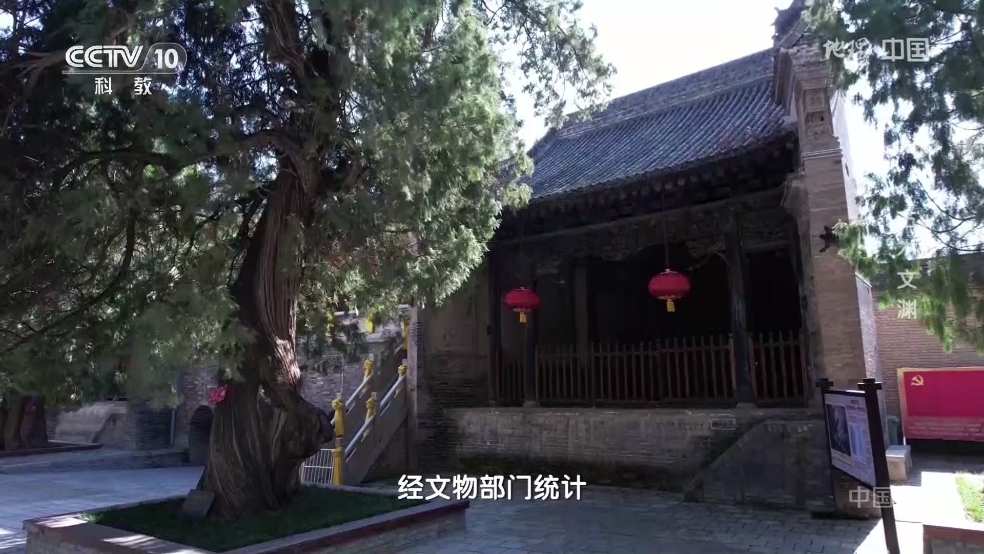 魄狼TV官方最新版