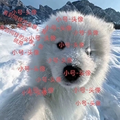 小号连点APP手机版