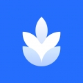 麦片屏幕翻译免费版app