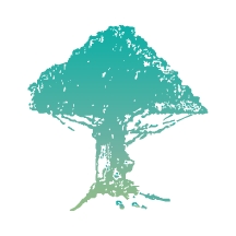 树兰医生官方最新版