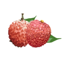 增城泊车官方最新版