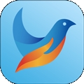 青鸽网官方最新版