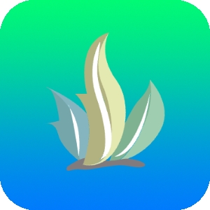 海草助手电视版