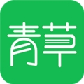 青草小说最新版