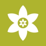 安装狮（Install